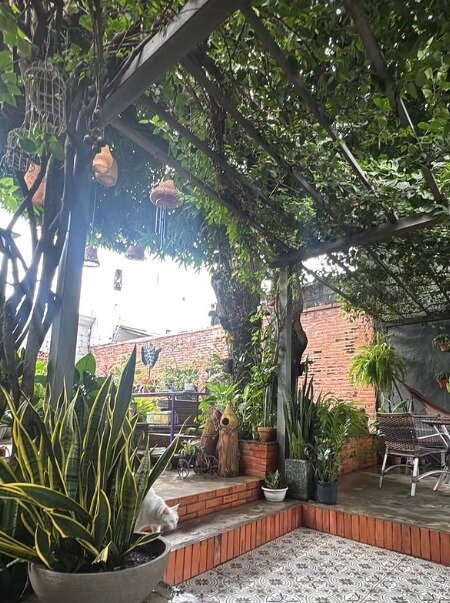 Jardim interno do escritório, com pérgola coberta de plantas